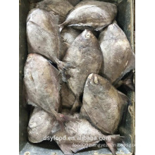 FROZEN BLACK POMFRET By seafood